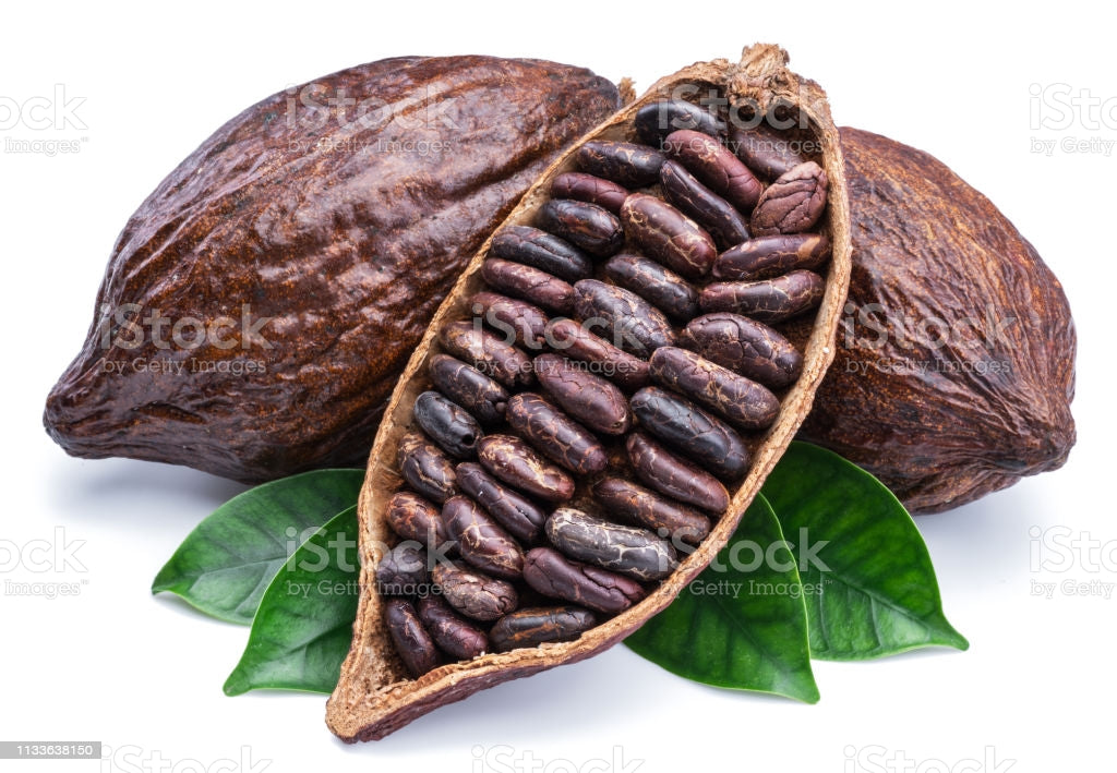LA PETITE HISTOIRE DU CACAO